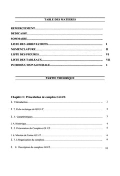 La liquefaction du gaz naturel