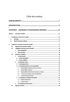 Optimisation d'un programme de reassurance: branche incendie