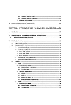 Optimisation d'un programme de reassurance: branche incendie