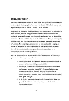 Optimisation d'un programme de reassurance: branche incendie