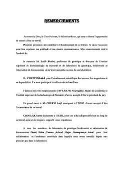 Etude de la diversite genetique du pistachier