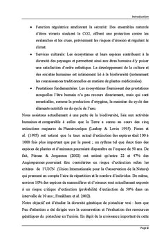 Etude de la diversite genetique du pistachier