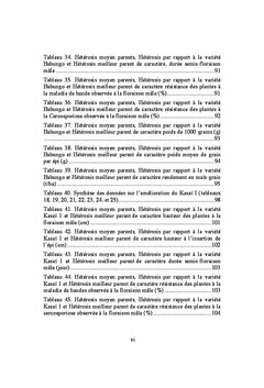 Augmentation du rendement du maïs (Zea mays L.)