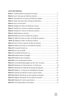 L'influence de la polyculture sur l'arthropodofaune du cotonnier