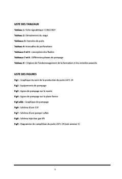 Optimisation de la production du pétrole