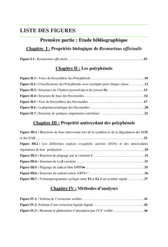 Les Catéchines Dans Le Romarin