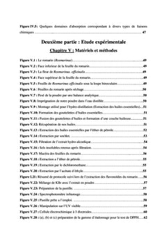 Les Catéchines Dans Le Romarin
