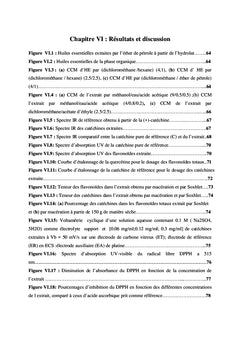 Les Catéchines Dans Le Romarin