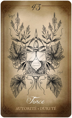L'Oracle des soeurs Chaudron