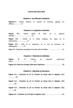 Traitement des Effluents d'Abattoirs par Digestion Anaérobie