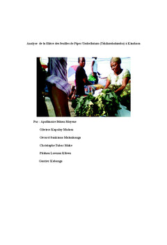 Analyse de la filière de Piper Umbellatum (Tshilombolombo) à Kinshasa