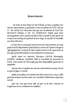 Optimisation énergétique des fours sècheurs de phosphate - OCP -