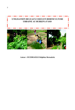 Utilisation des eaux usees en horticulture urbaine au Burkina Faso