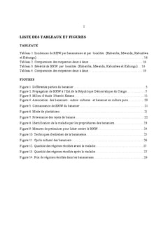 Etude d'Incidence et Severite de Wilt Bacterien du Bananier (BWX)