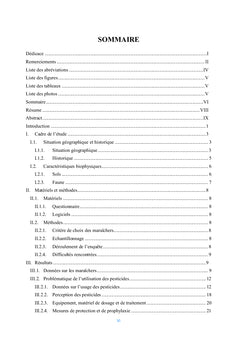 Utilisation des produits phytosanitaires dans le marîchage dans la FCM