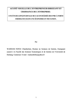 Acuité visuelle de l'entrepreneur-dirigeant et croissance de l'entreprise