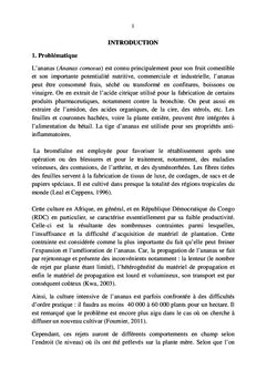 Activation des bourgeons latents de différents rejets d'ananas