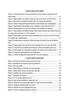 Identification de quelques cultivars de maïs du Togo et du Burkina