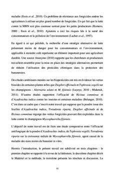 L'efficacité antifongique des plantes sur la Maladie de Raies noires
