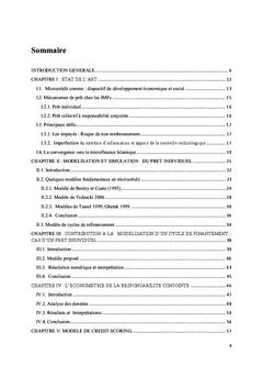 Modélisation et Simulation, Outils d'Aide à la Décision en Microcrédit