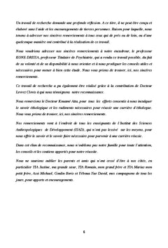 Jeux video et comportements agressifs chez les adolescents addicts