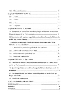 La briqueterie au Sud-KIVU et son impact sur le climat