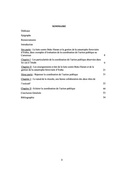 Quelques facettes de la coordination de l'action publique au Cameroun