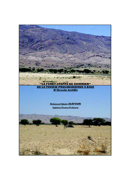 La Forêt-Steppe de Gommier