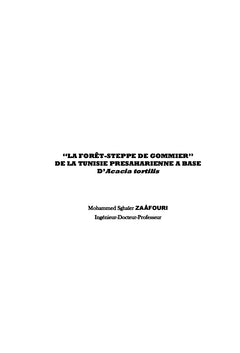 La Forêt-Steppe de Gommier