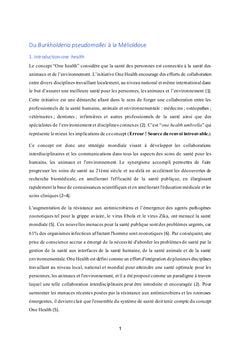 Du Burkholderia pseudo mallei à la Mélioïdose