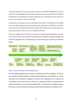 Du Burkholderia pseudo mallei à la Mélioïdose