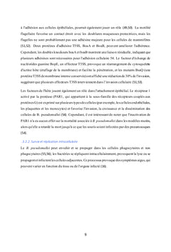 Du Burkholderia pseudo mallei à la Mélioïdose