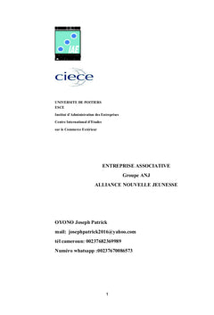 DEVELOPPEMENT INTERNATIONAL D'UNE ASSOCIATION, GROUPE ANJ
