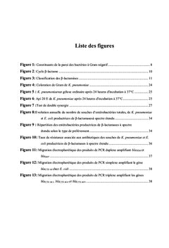 Entérobactéries productrices de Béta-lactamase à spectre étendu