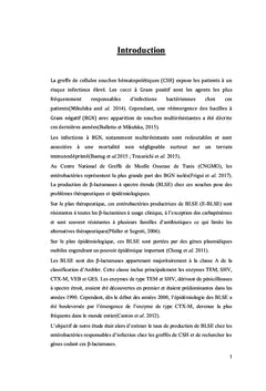 Entérobactéries productrices de Béta-lactamase à spectre étendu