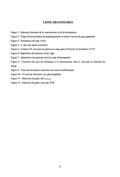 Colonisation à Enterococcus faecium résistant à la vancomycine