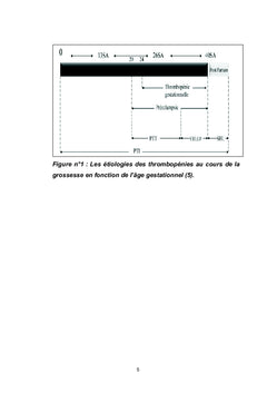 Thrombopénies et grossesse
