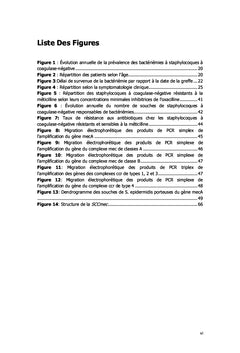 Bactériémies à staphylocoques à coagulase-négative