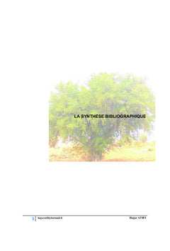 L'Huile d'Argane un Patrimoine Marocain