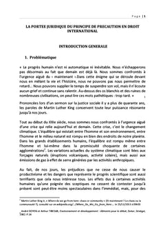 La portée juridique du principe de précaution en droit international