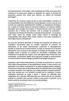 La portée juridique du principe de précaution en droit international
