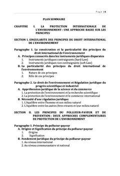 La portée juridique du principe de précaution en droit international