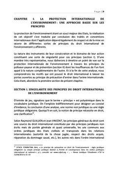 La portée juridique du principe de précaution en droit international