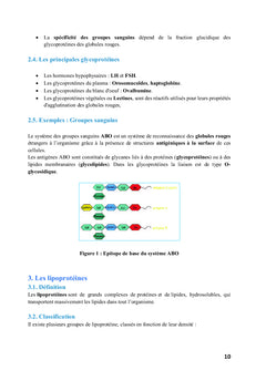 Structures et Fonctions des Macromolécules « SFM »