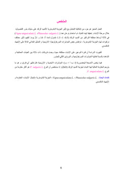 Evaluation de l'effet de l'oxyde de zinc (ZnO)
