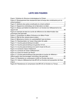 Contribution à l'étude des bétons fluides à haute compacité