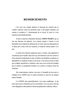L'appui de l'Union européenne à la transition démocratique en Tunisie