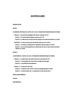 L'appui de l'Union européenne à la transition démocratique en Tunisie