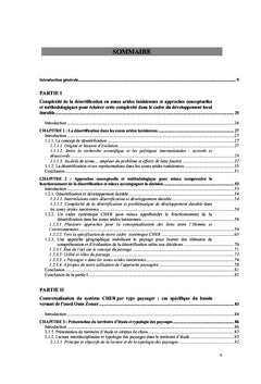 La désertification en zones arides tunisiennes