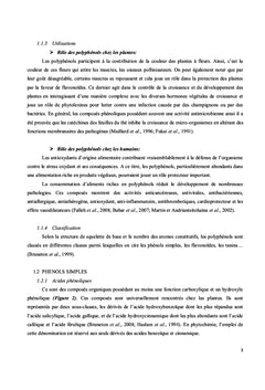 Plantes medicinales de Fianarantsoa I